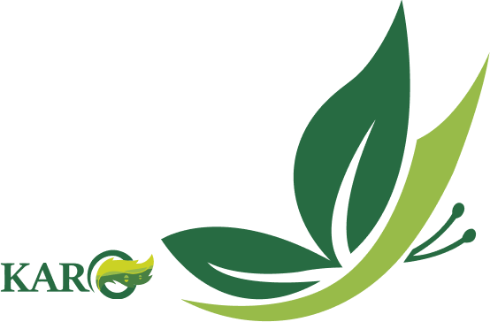 سامانه جمع آوری پسماند کارو